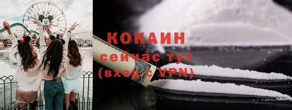 spice Богородицк
