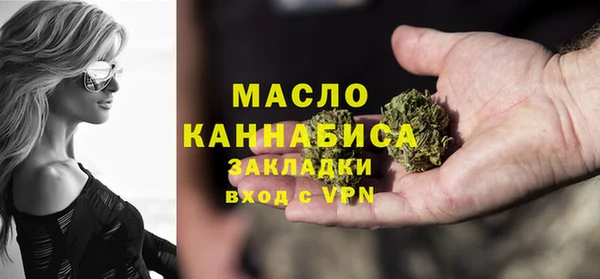 spice Богородицк