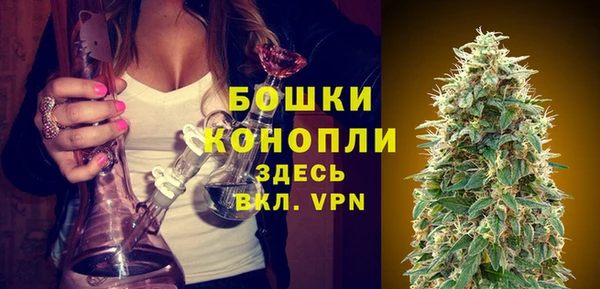 бошки Богданович