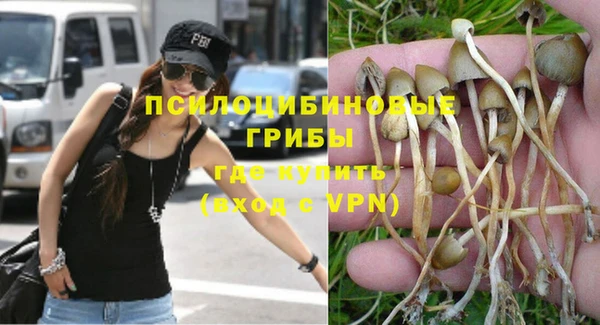 spice Богородицк