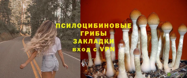 spice Богородицк