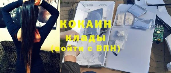 бошки Богданович