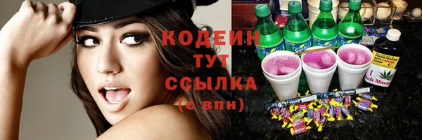 spice Богородицк