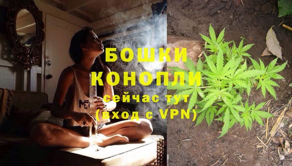 spice Богородицк