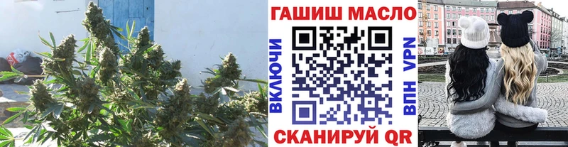 ТГК THC oil гидра рабочий сайт Тосно