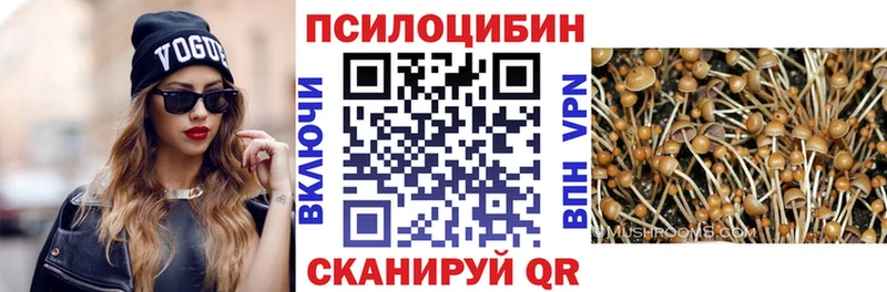 Галлюциногенные грибы Psilocybe  даркнет сайт  Тосно 