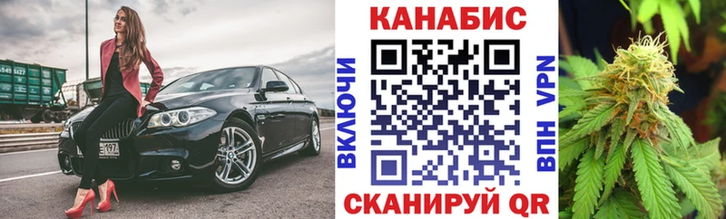 Каннабис планчик  Тосно 